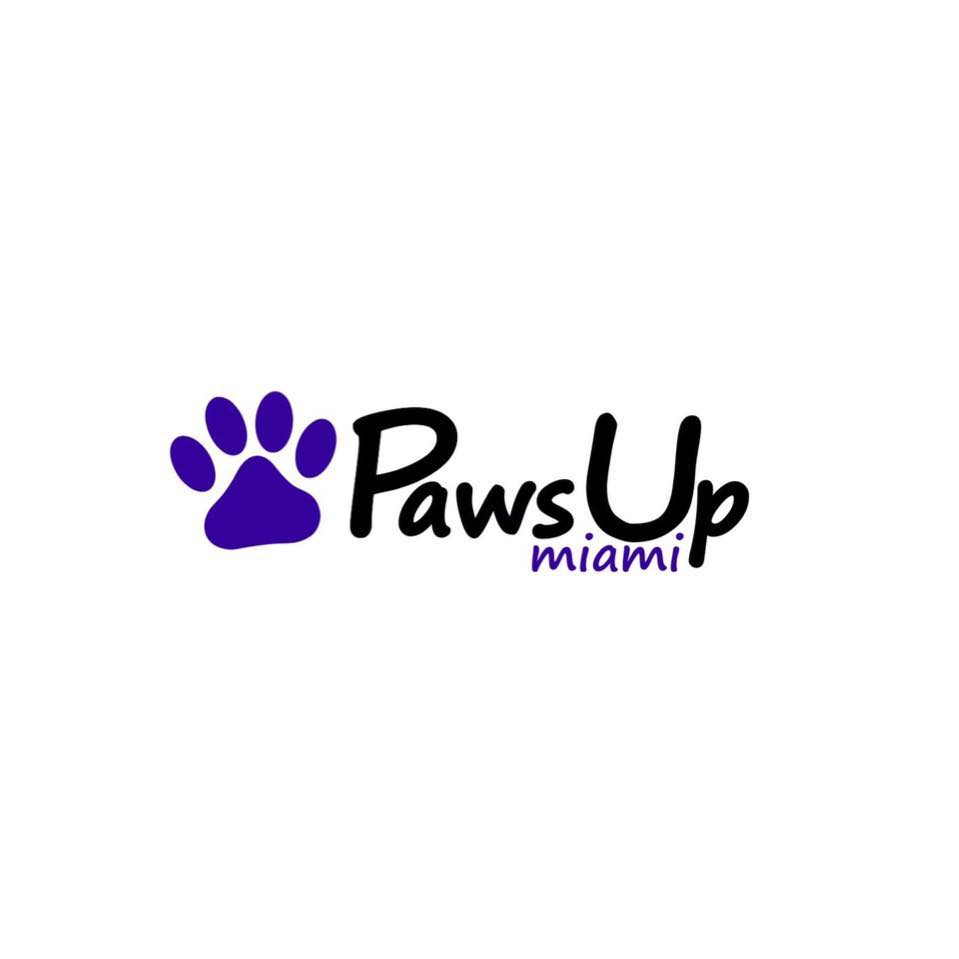 Paws Up Miami