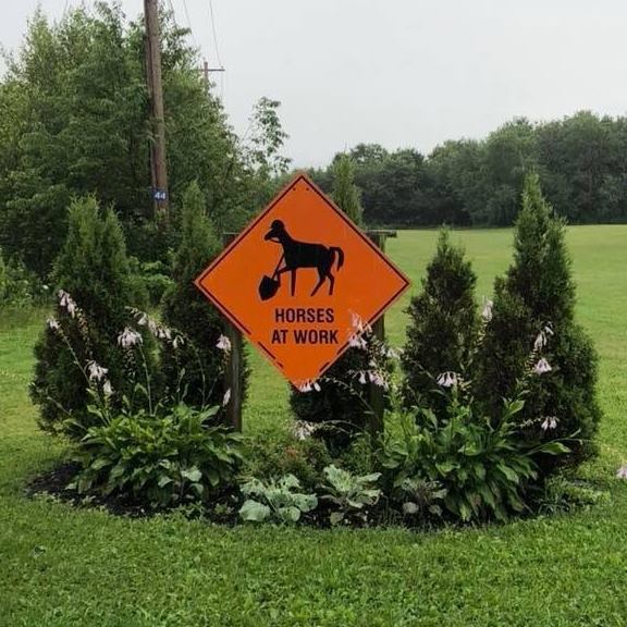 Horses At Work | Windsor NS