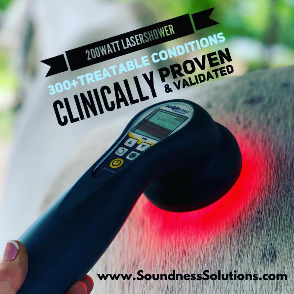 Soundness Solutions
