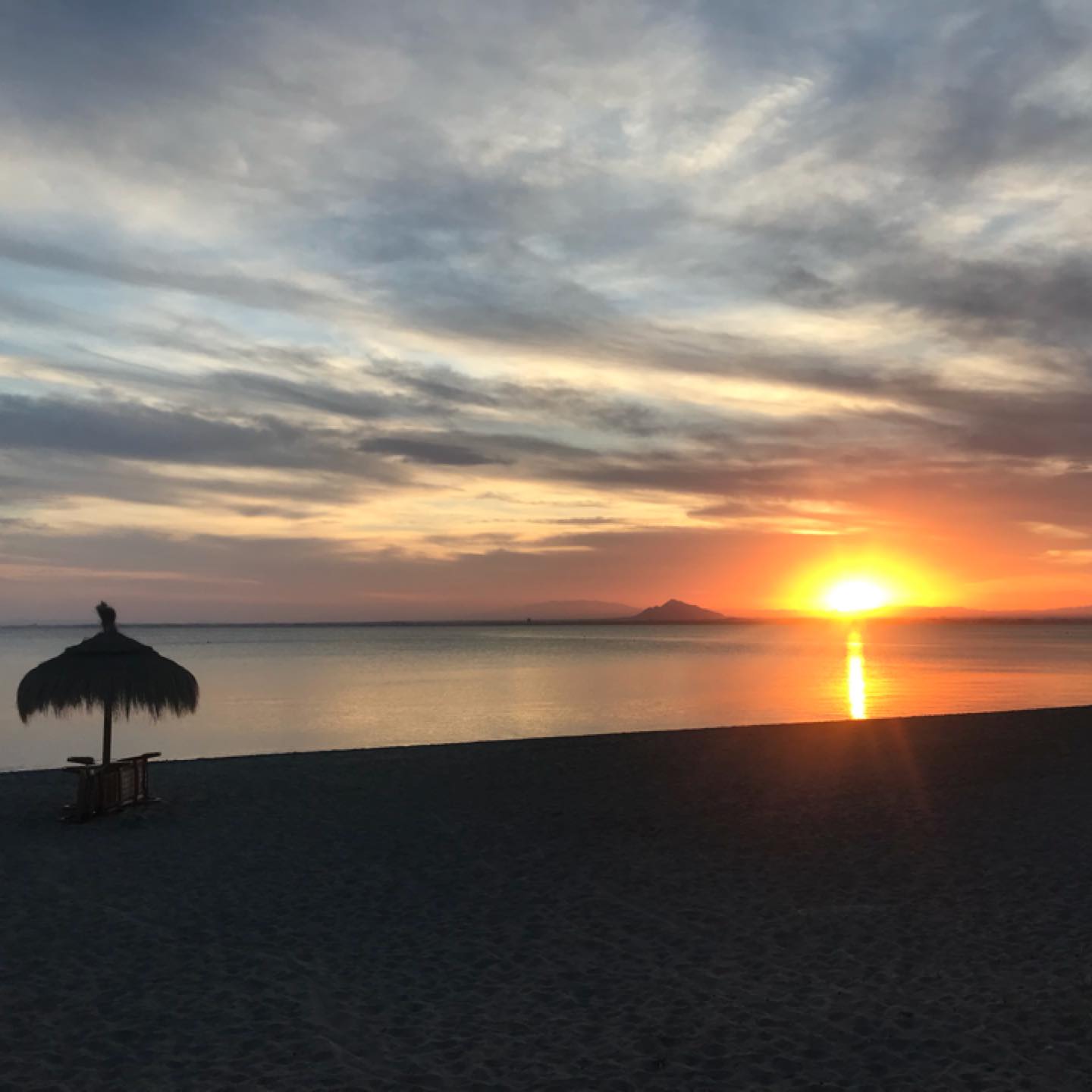What's on in Nerja | bar Rincon Alina | Facebook