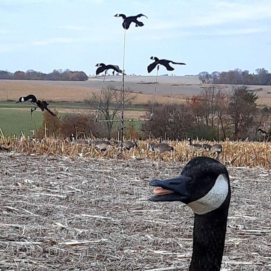 The Goose Tree System