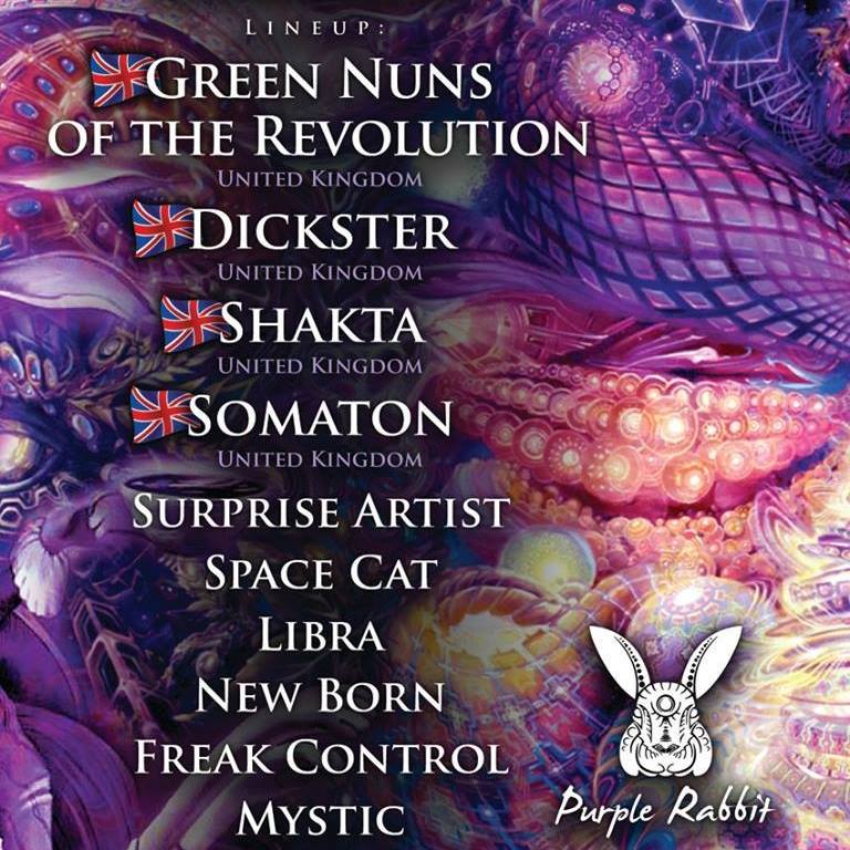 Purple rabbit-הארנב הסגול