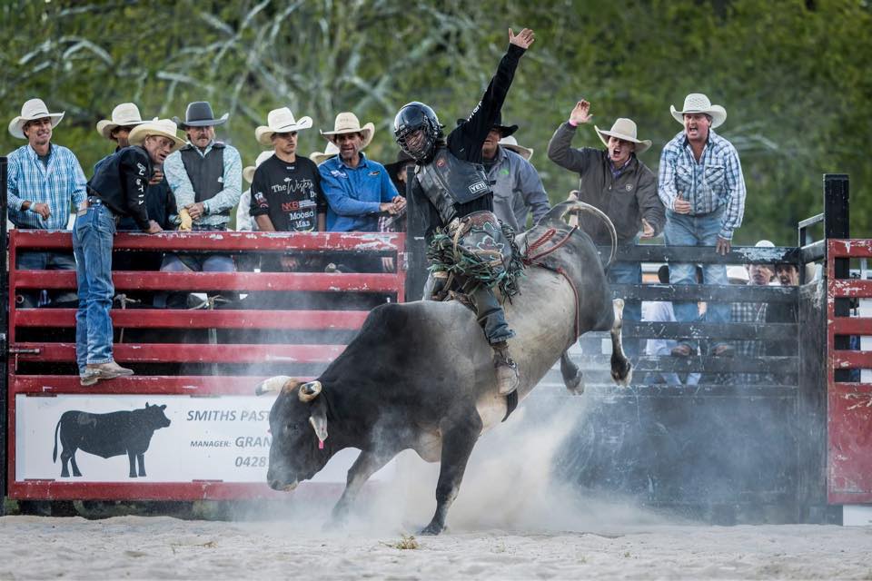 Jonte Handebo - Couple of spurs on the there way⚡️ | Facebook