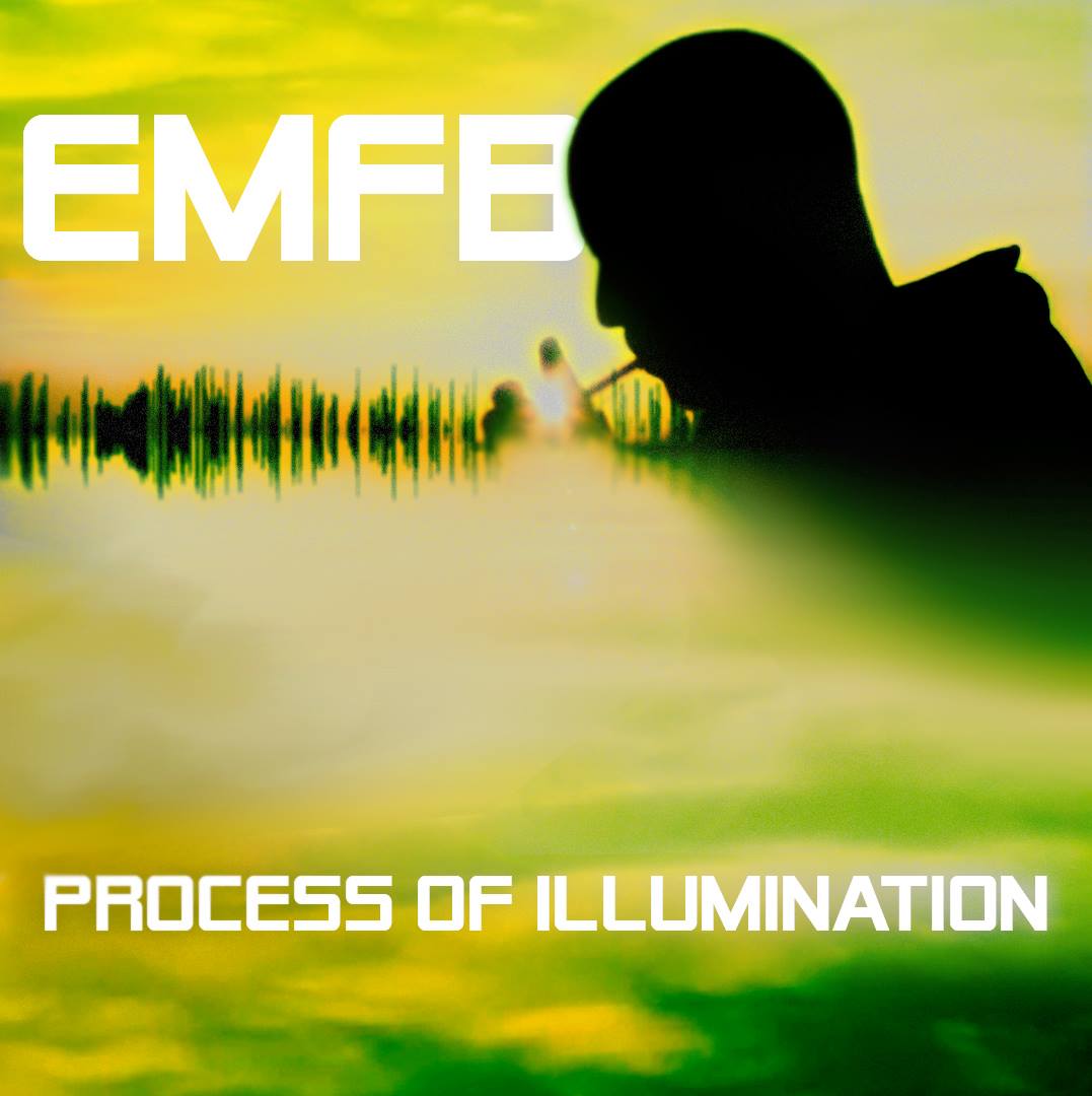 EMFB