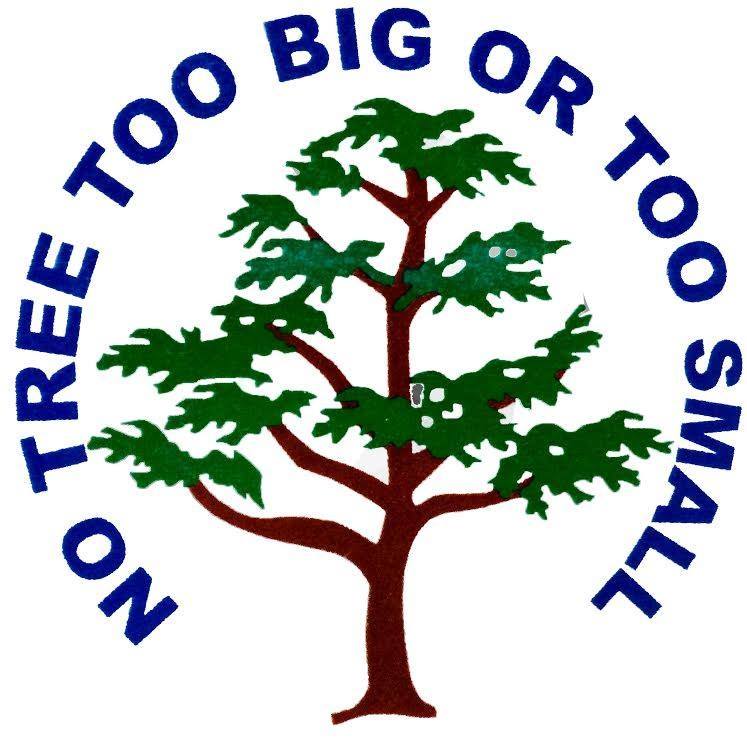 Matt's Maintenance Tree Service | Parker CO