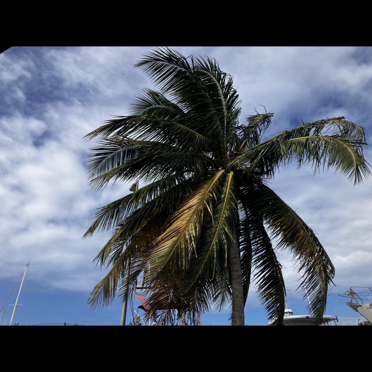 Hurricane update: Live from Cruisin The Coast 2026. #1 edition | Vicky ...