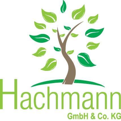 Hachmann GmbH & Co. KG Garten- und Landschaftsbau | Venne
