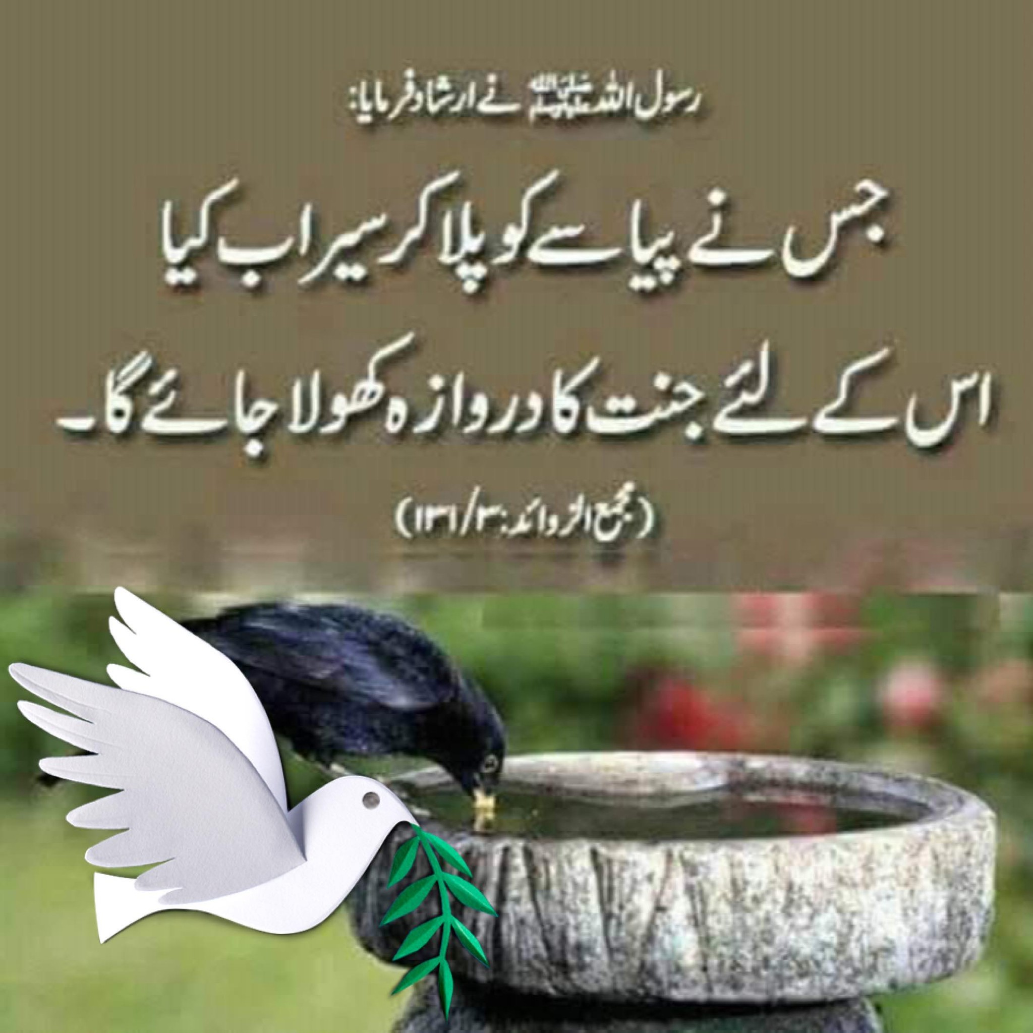 ya-allah-jise-bhi-ye-video-dikhe-use-apne-ghar-ka-deedar-naseeb-farma