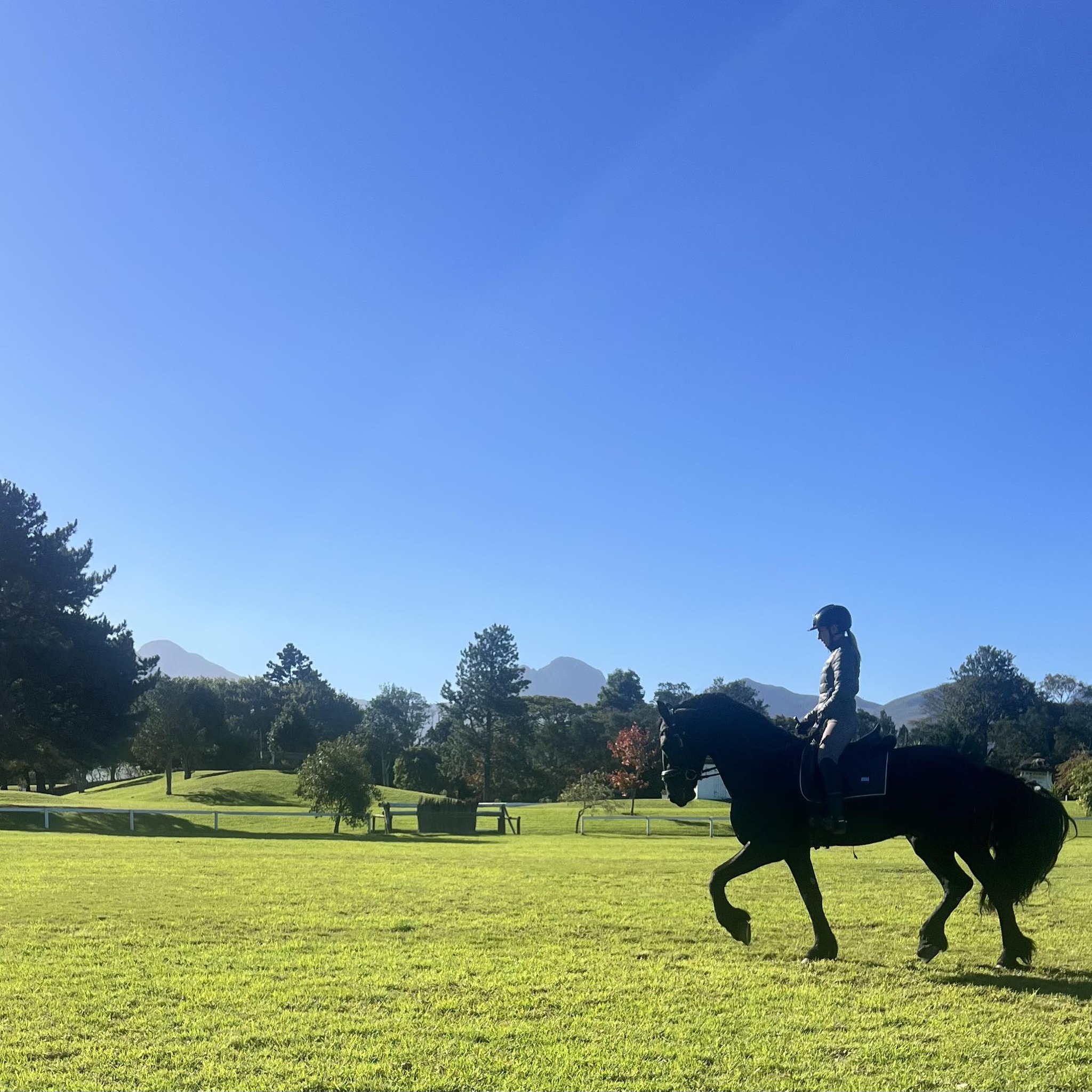 George Riding Club Livery Stables | George