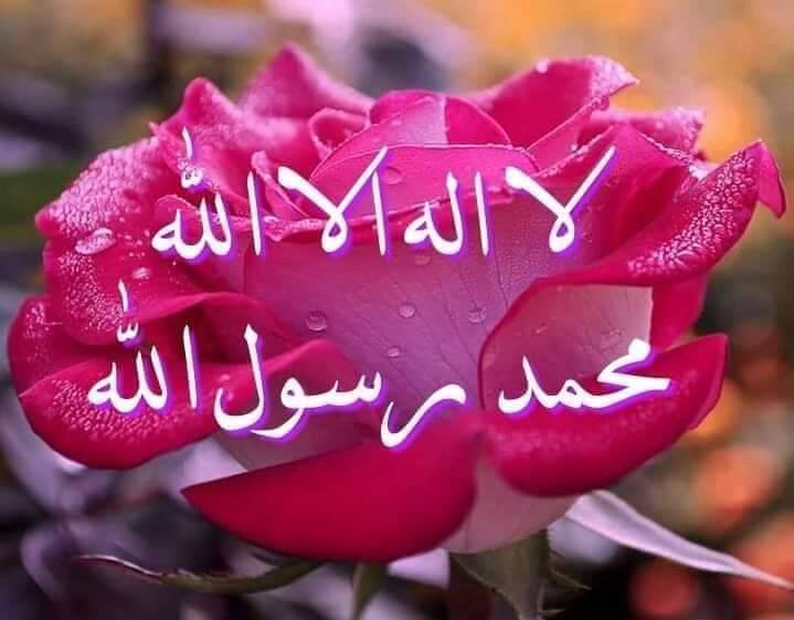 انو ر