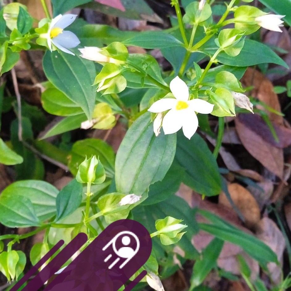 බුද්ධ පුතුන් buddha puthun... - බුද්ධ පුතුන් buddha puthun