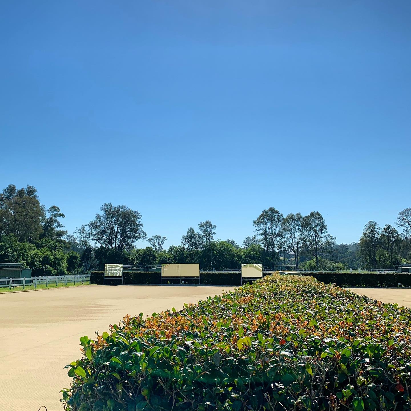 Rivergum Park | Brisbane QLD