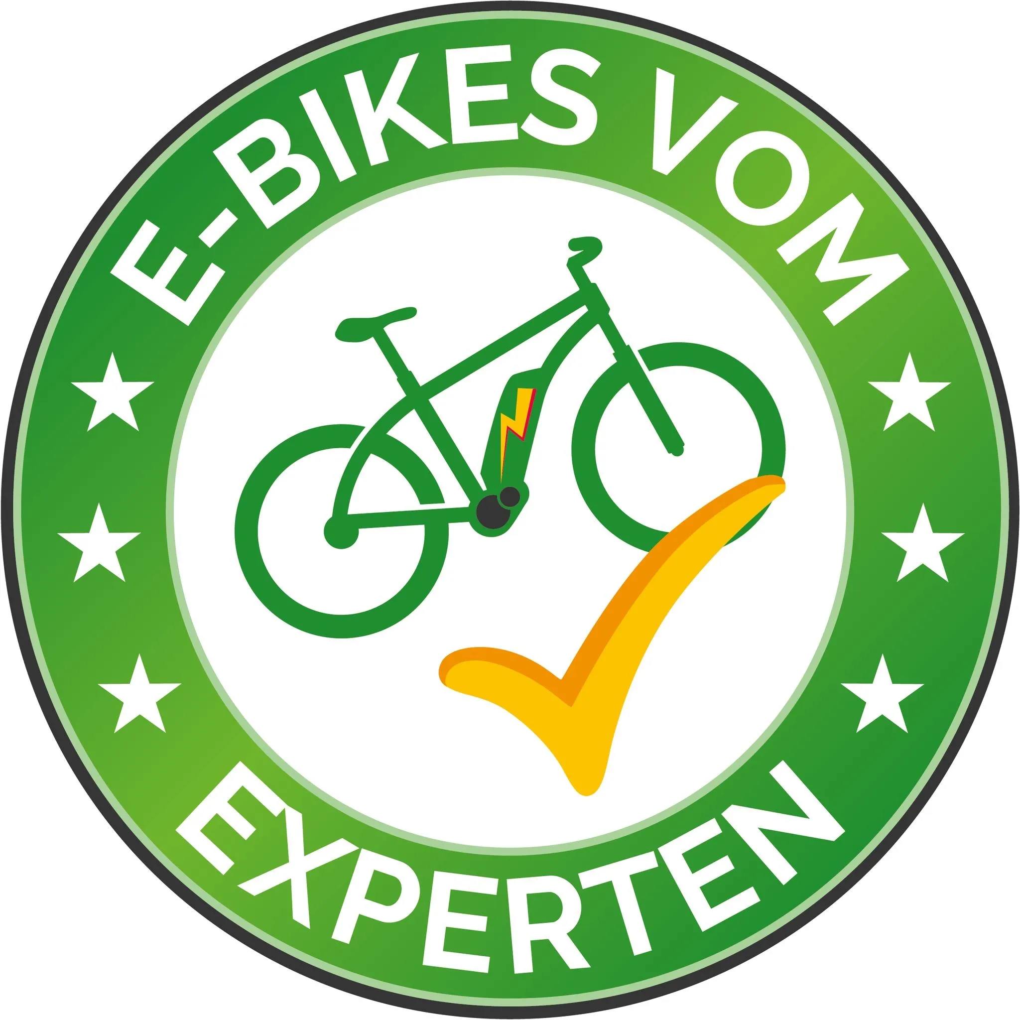 bachtenkirch fahrradständer 24 Zoll Hollandrad für Kinder Buleva - Kinderfahrrad für Mädchen Category:E Bike City_11 Color:Silver Blue VCM Tragetasche für Falt