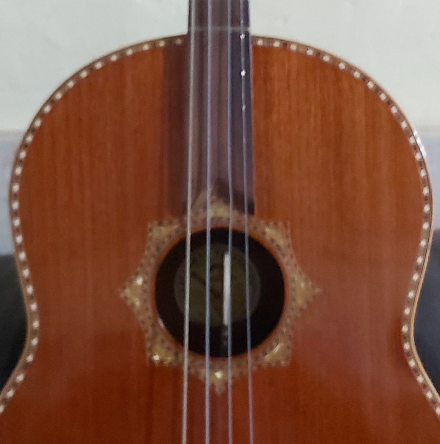 El tololoche Yucateco