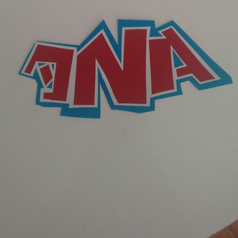 DNA racing team