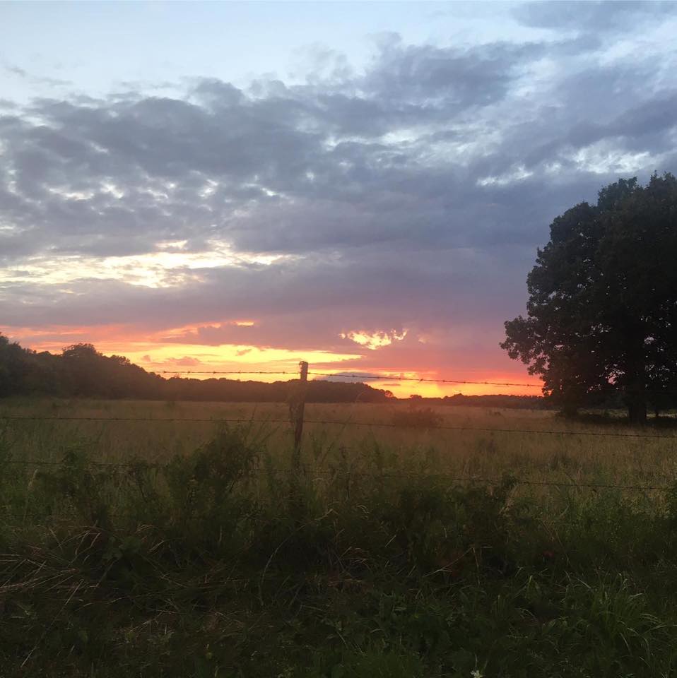 HH RANCH
