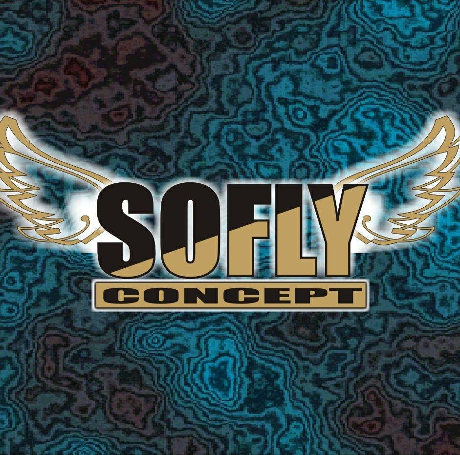 SOFLY Concept