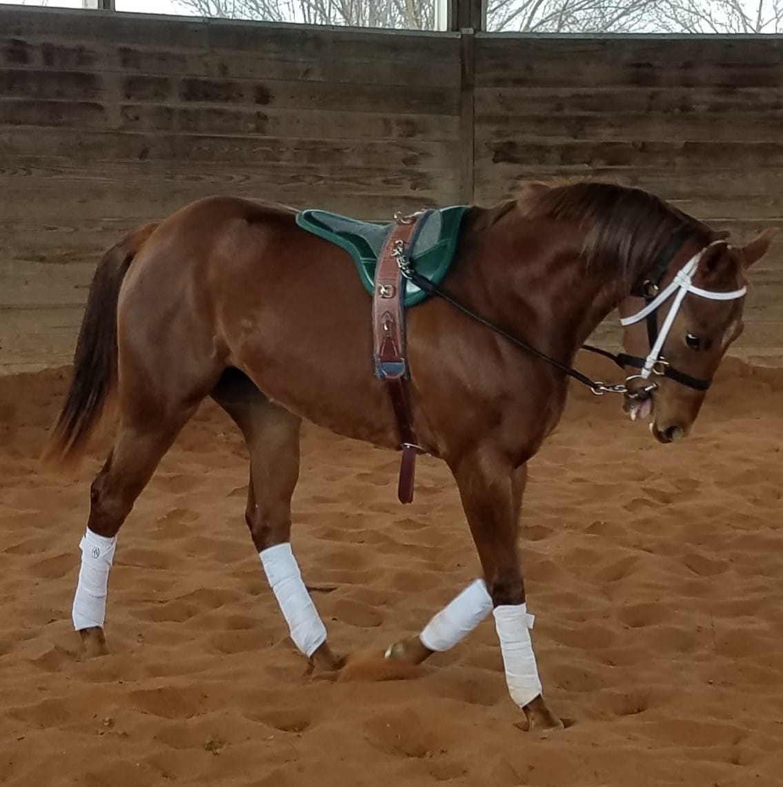 Diamond G Ranch