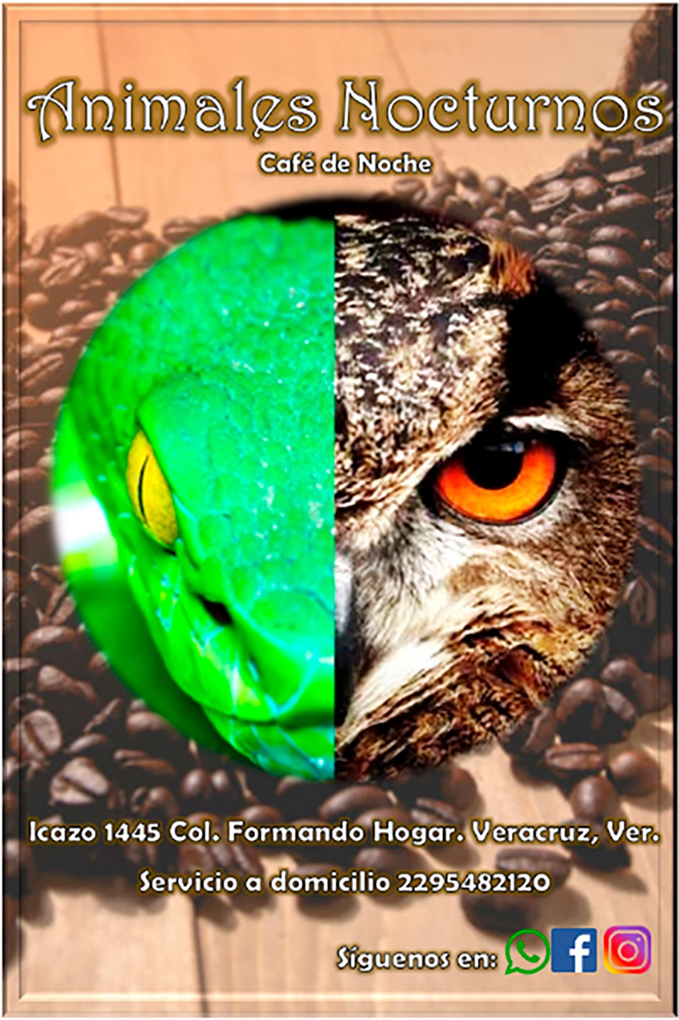 Animales Nocturnos Café | Veracruz