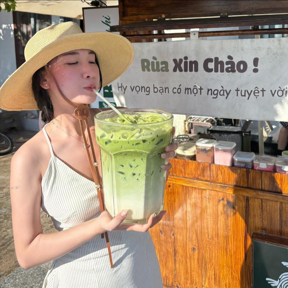 Rùa Matcha