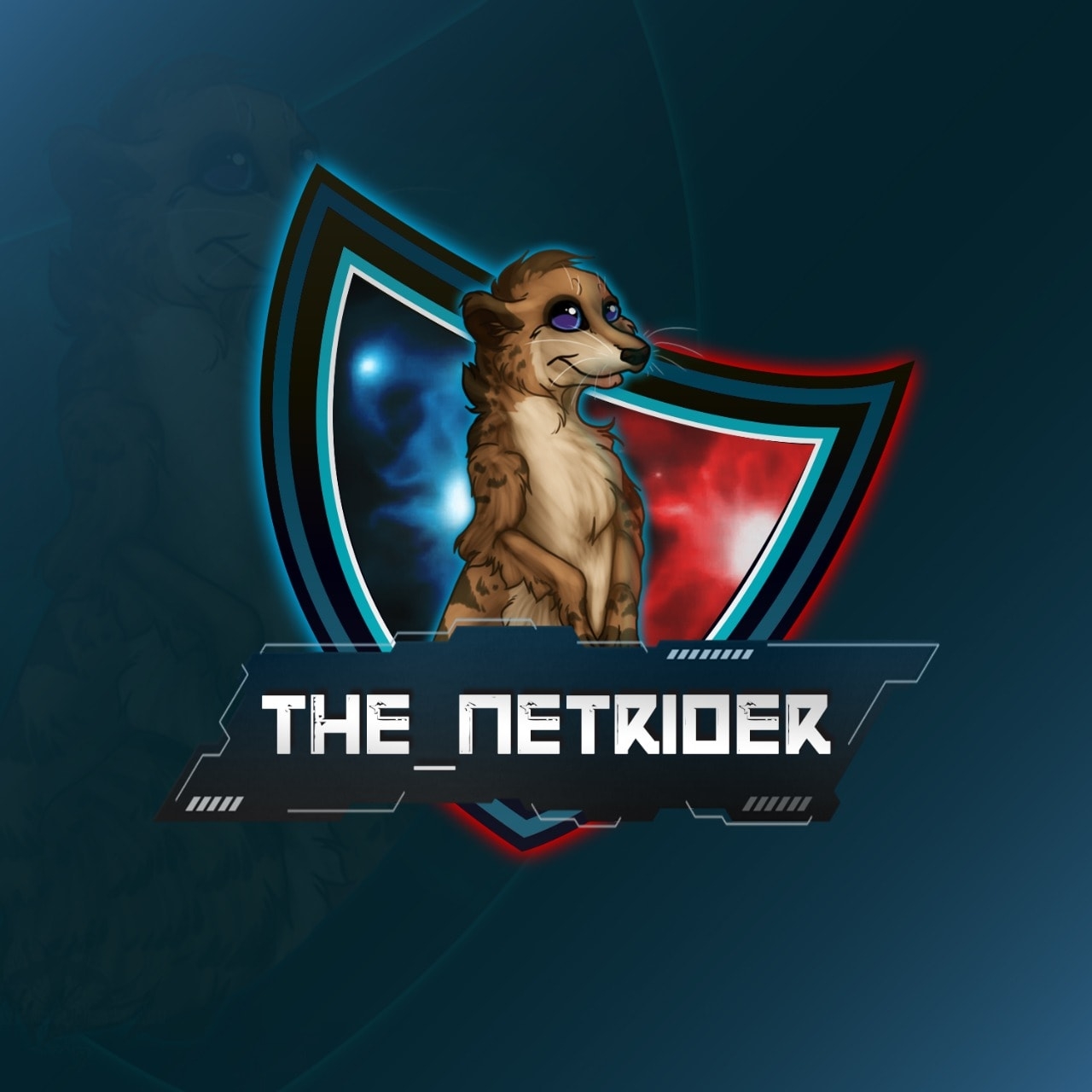 The Netrider