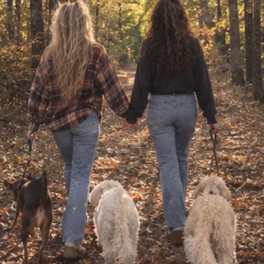 Good Dogs of Greenville (Group) | Recommendations for affordable ...