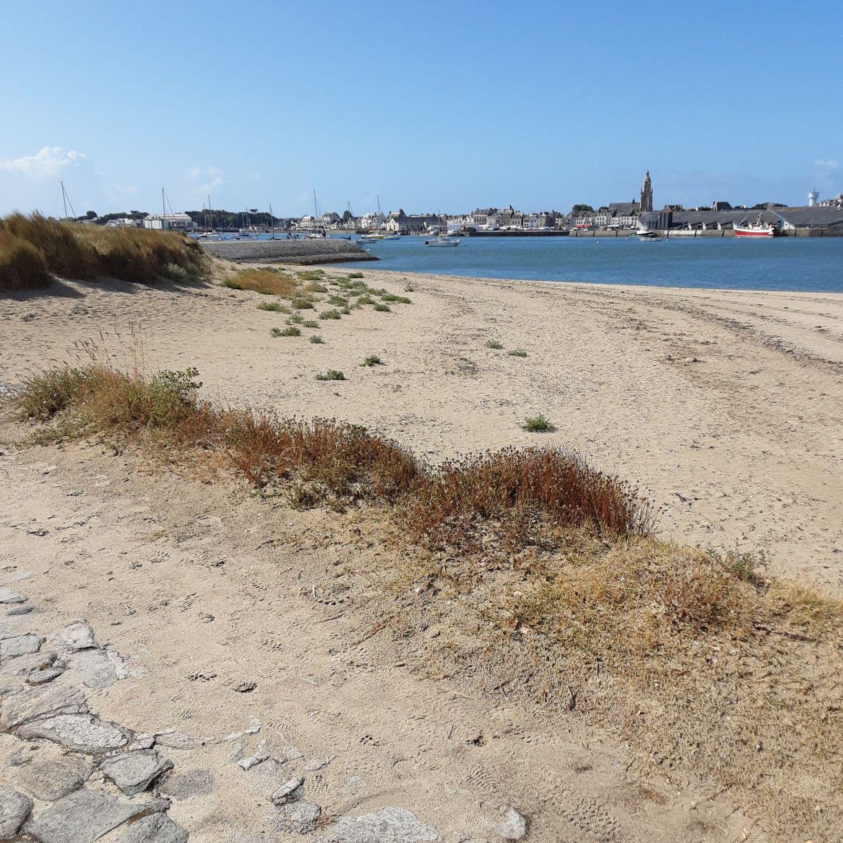 manche-cotentin-naturisme-manchecotentinnaturisme-fr-facebook