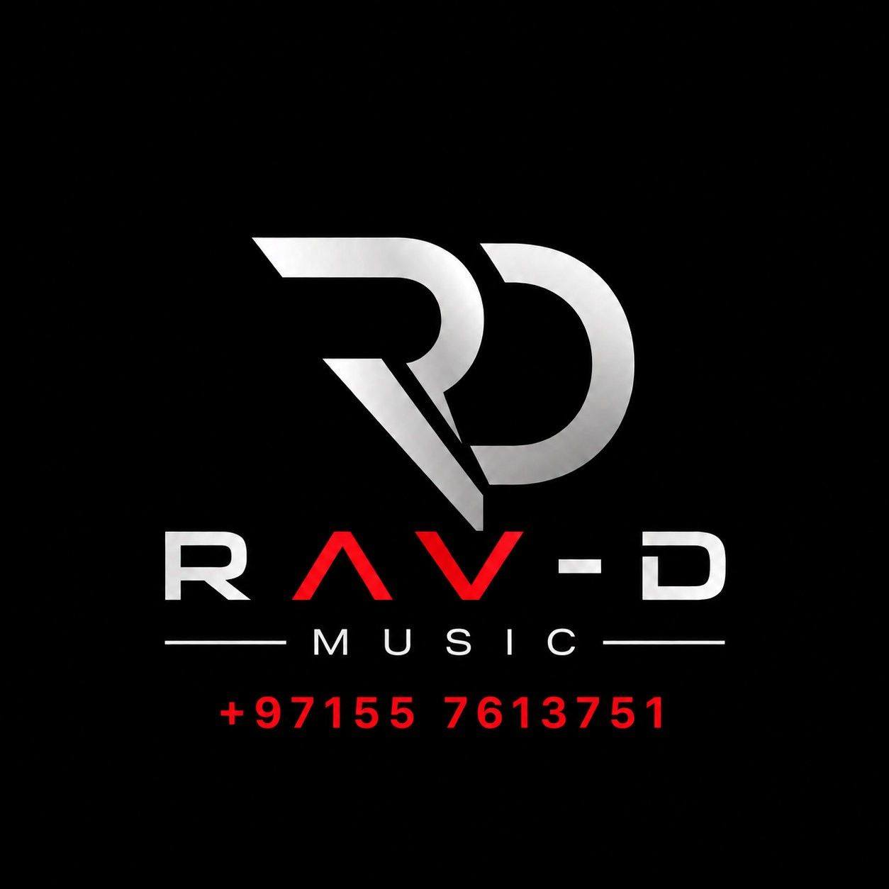 RAV-D Music Audio and Lights Rentals