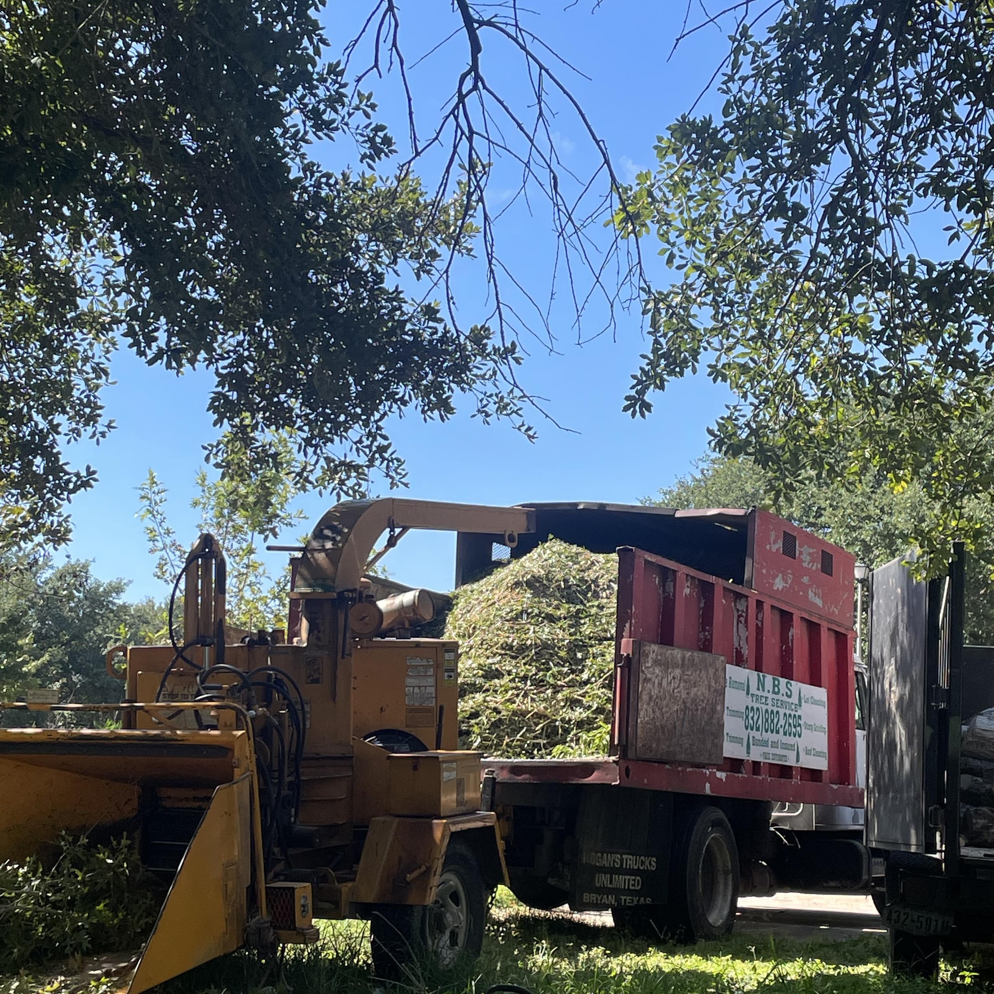 We offer services to clean trees, stump grinding, tree trimming, and ...