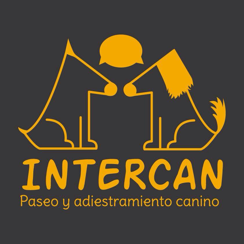 Intercan - Paseo , adiestramiento y hospedaje canino | Arequipa