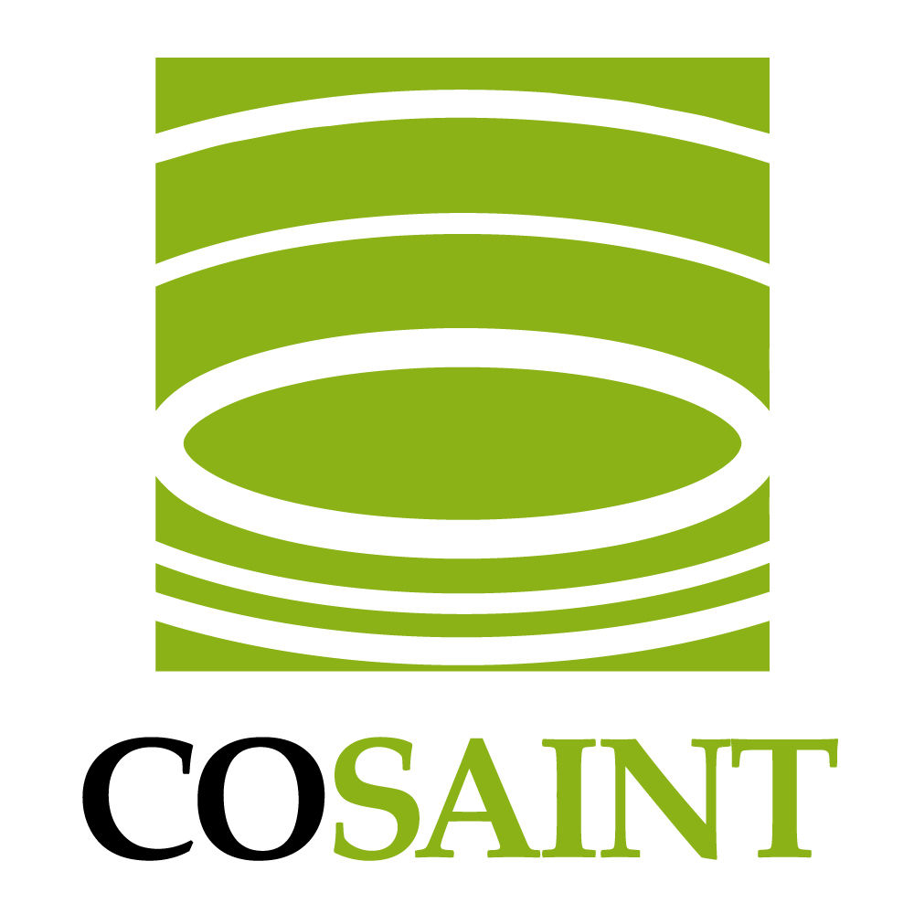 Cosaint Insurance | Charlotte NC