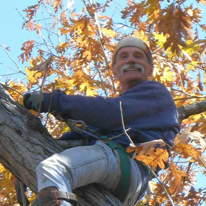 Carter Tree Service | Magazine AR