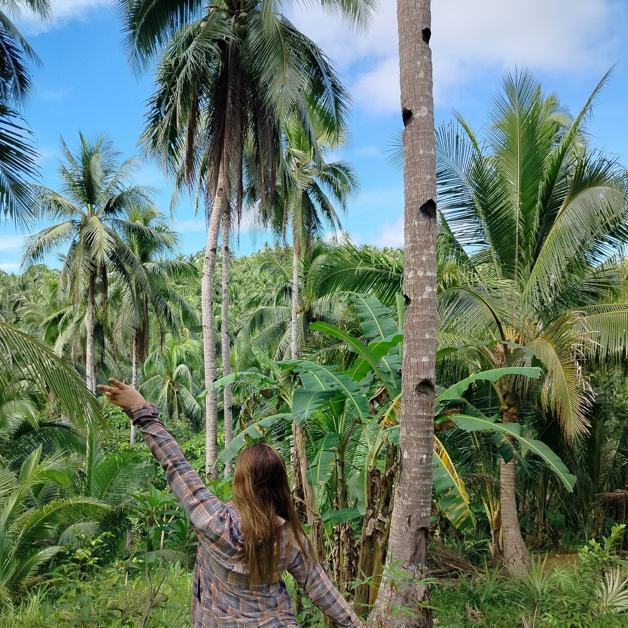 Isang bubong dalawang love story #highlightseveryone | Marcelyn Bordo ...