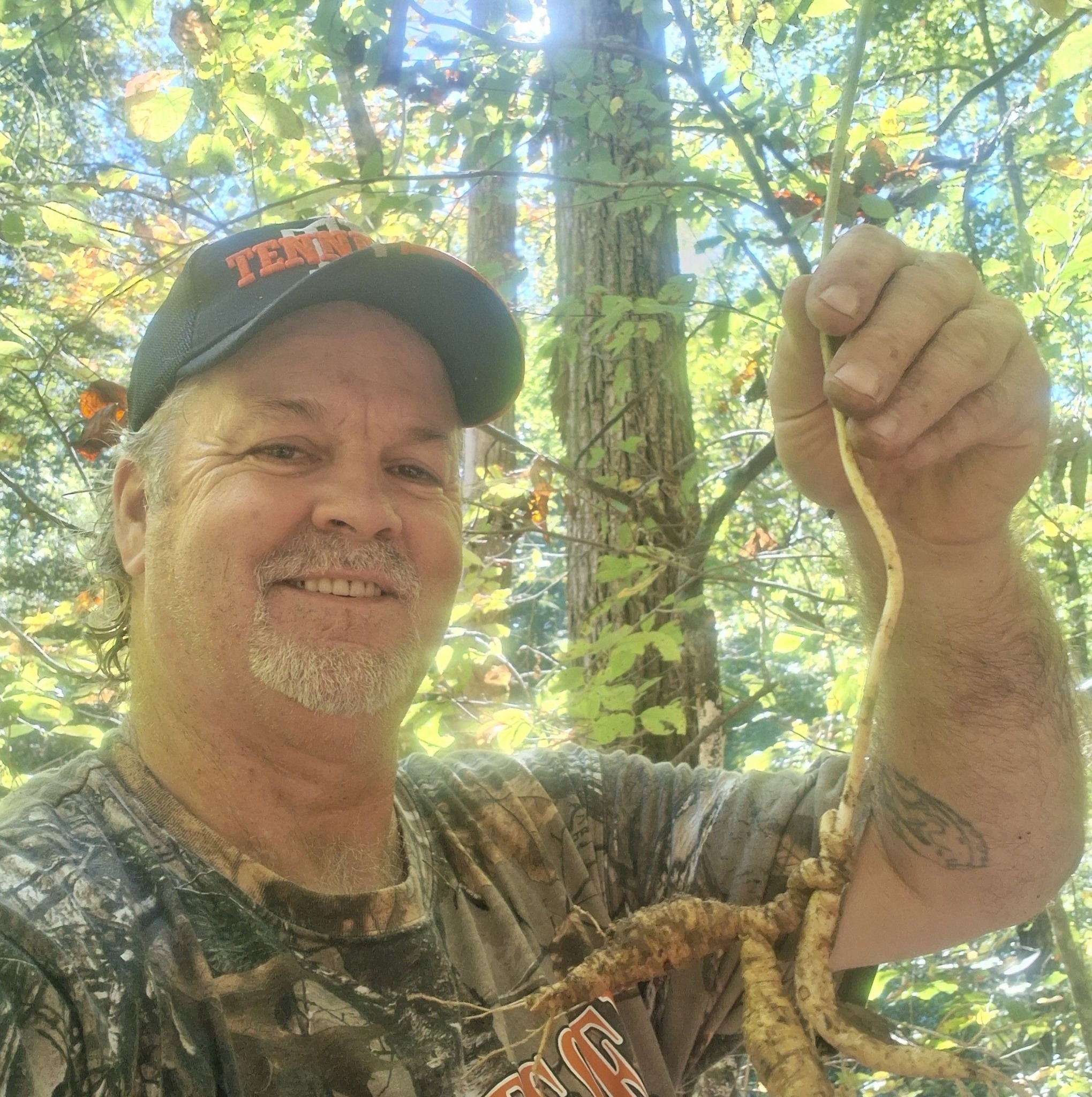 Wild Ginseng - Diggers & Dealers | Do you guys consider this a seven ...