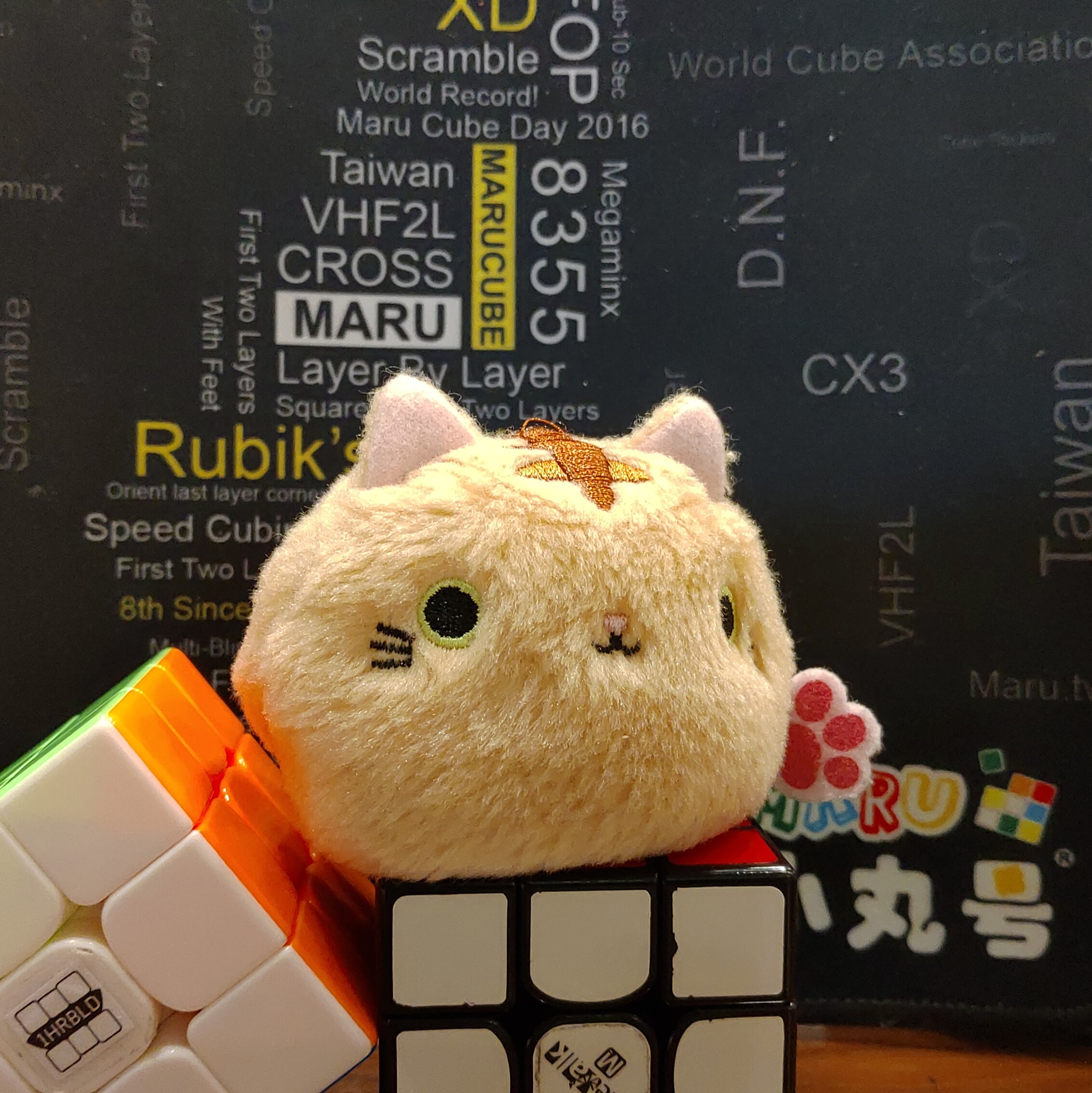 台灣魔術方塊俱樂部 | 安靜的魔方前五有哪些(想買安靜的魔方 | Facebook