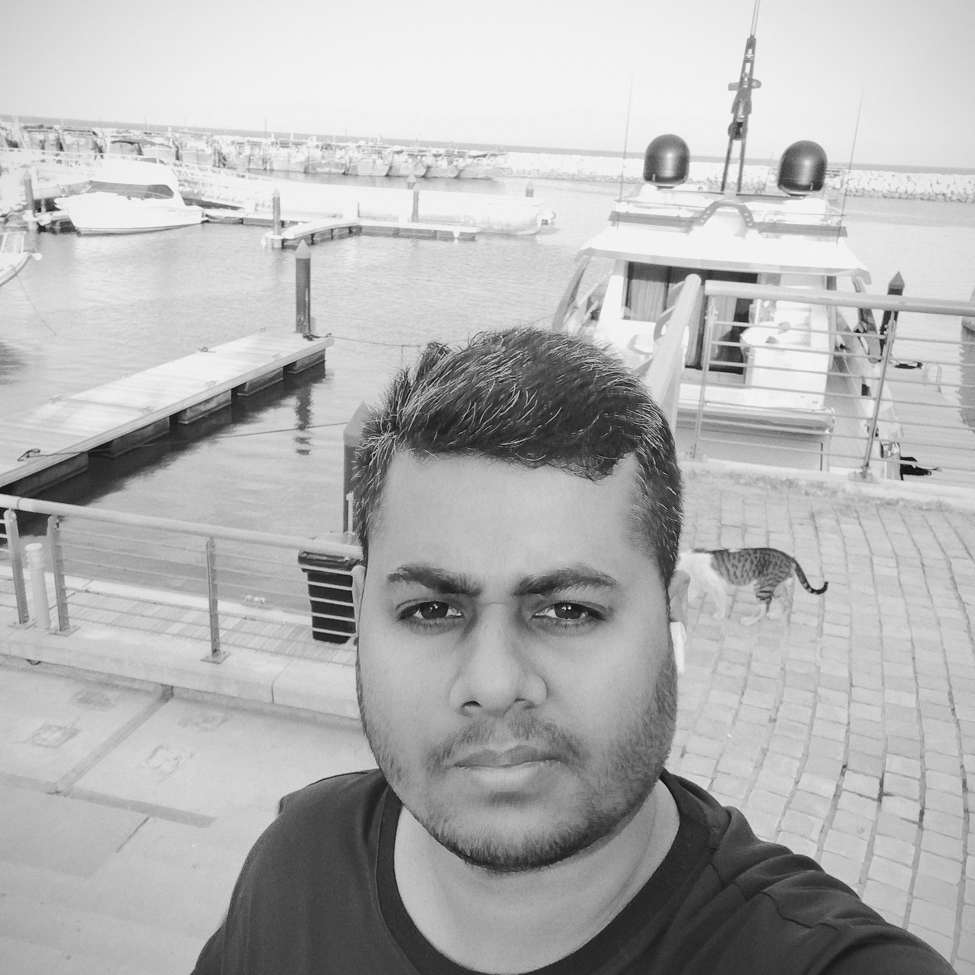 Tipu Sultan