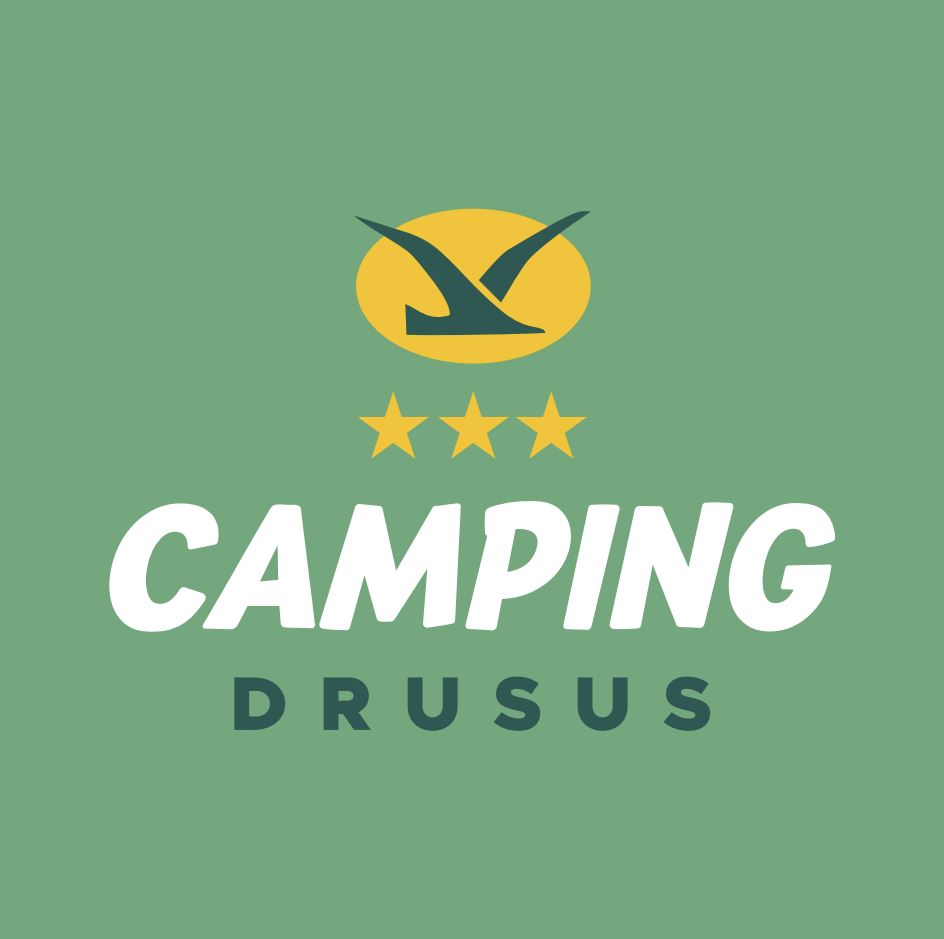 markise wohnwagen 4m SUPAREE Sonnensegel Wohnmobil Markise 3m Sonnensegel Wohnwagen mit Keder 210D Oxford mit 3 Kederschiene UV-Schutz Wasserdicht für Camper Van 3 x 2,4m Auto & Motorrad Best Vehicle for Vehicle Elia Clothing Size:2XL