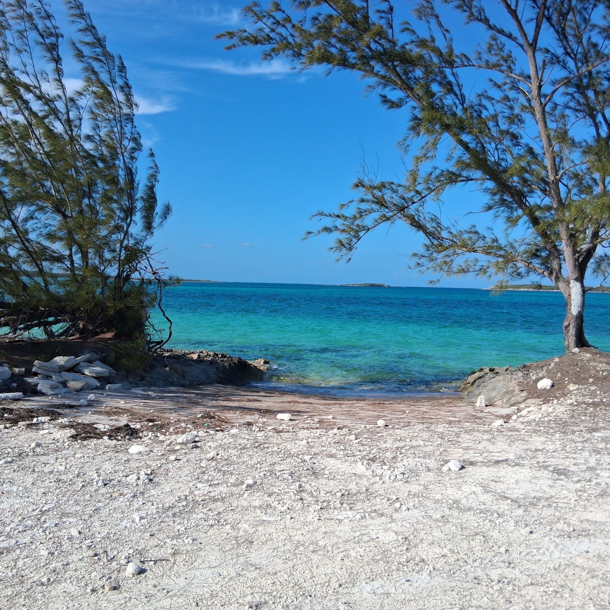 The Bahamas - Man identified who was killed this morning by the Shirley ...