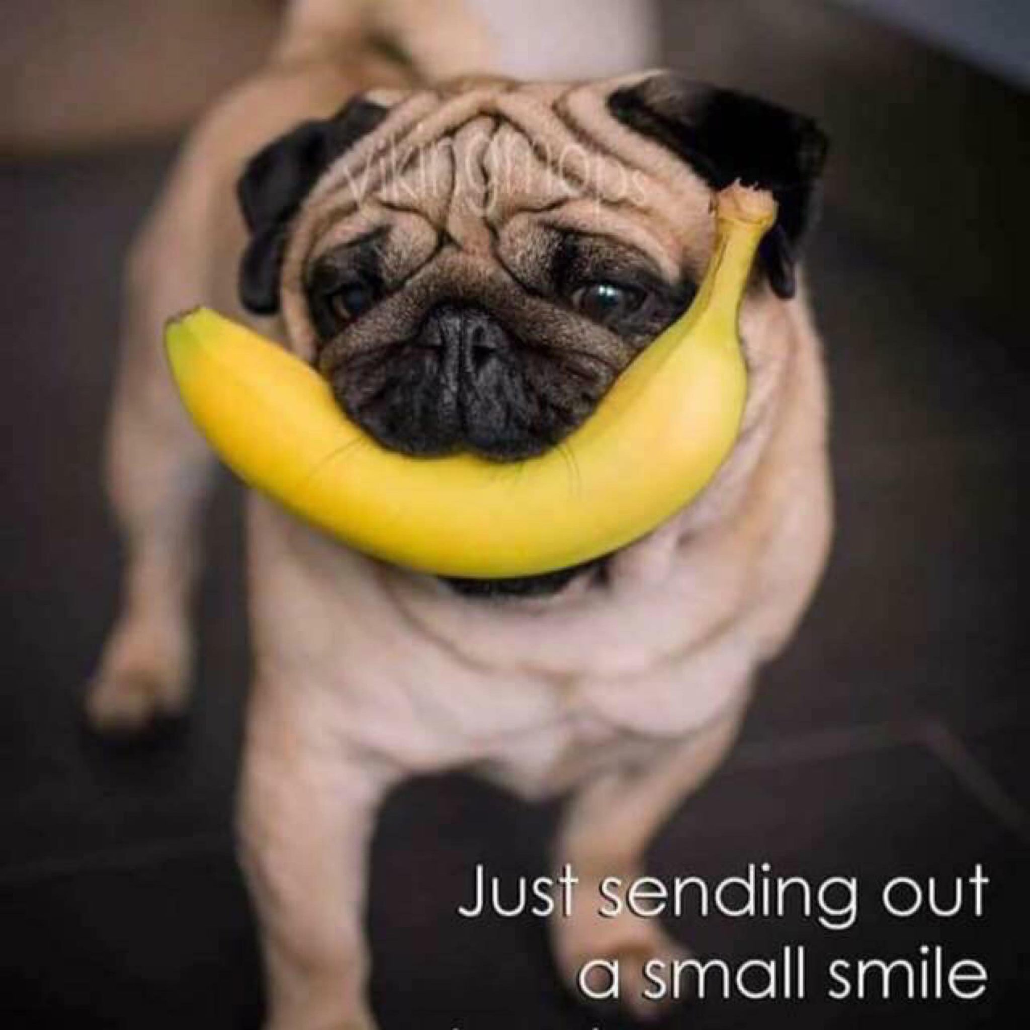 No Frills - STAMPS anyone ? | Facebook