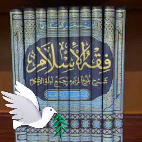 مكتبة نور الإ سلا م بؤاكي