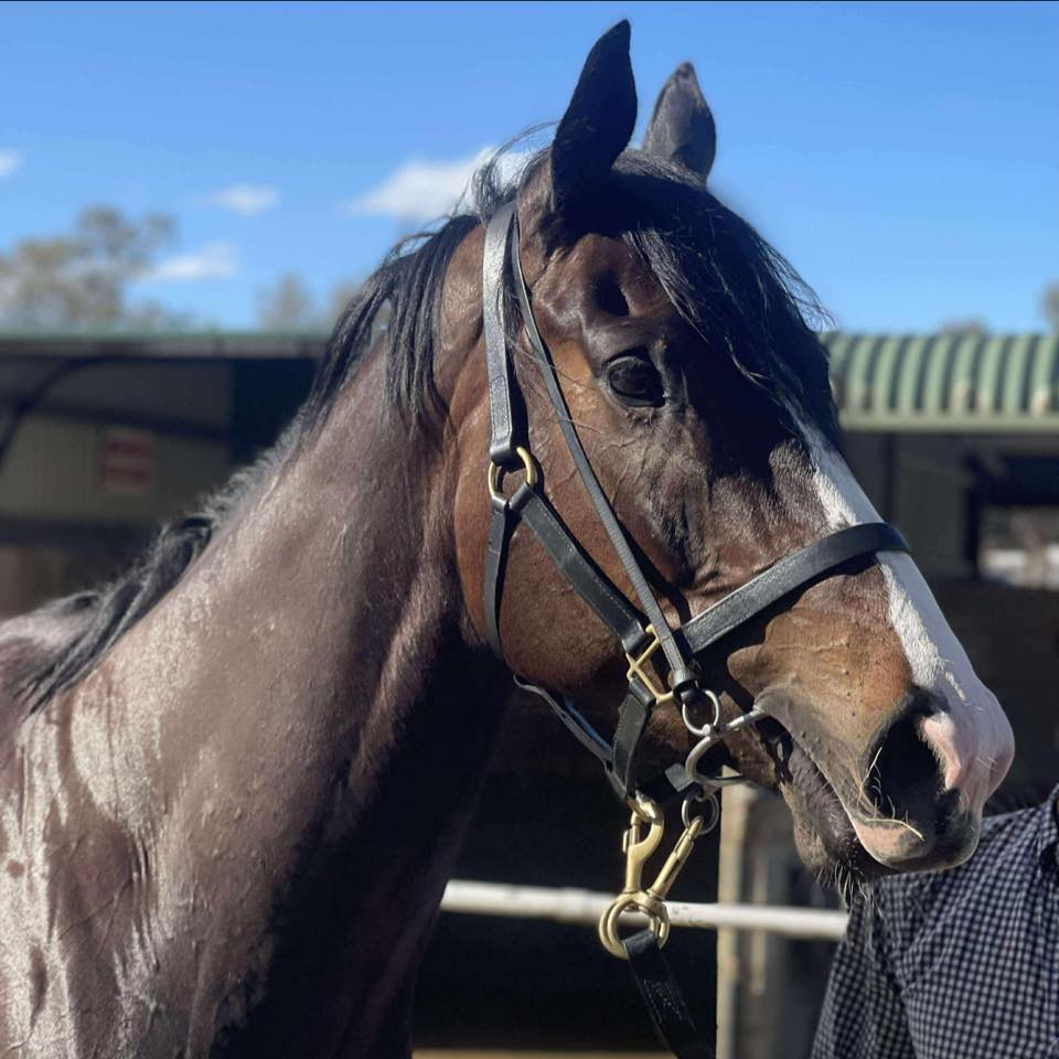 Dan McCarthy Racing | Wangaratta VIC