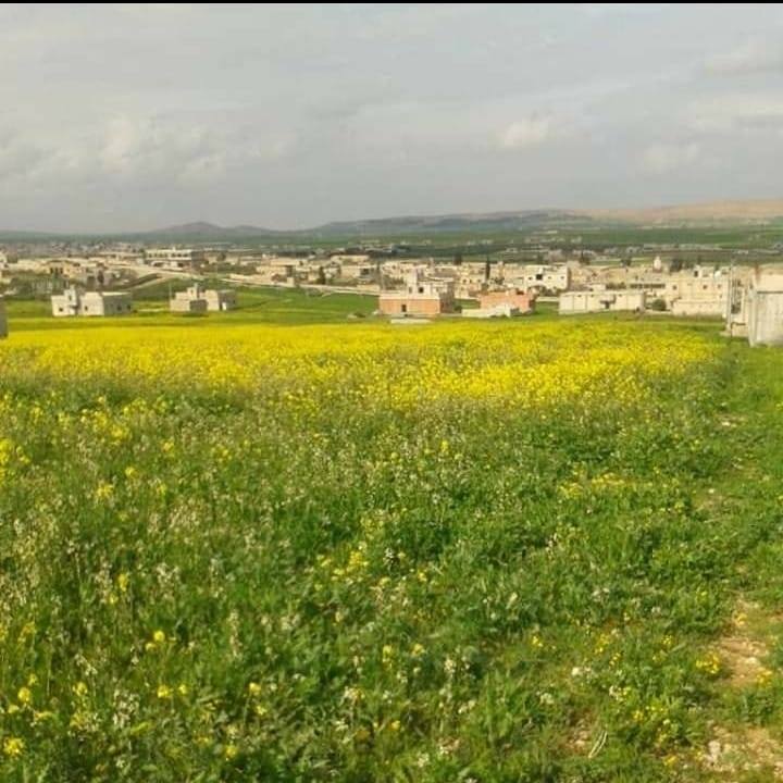 اخبار سعن الحمر والمنطقه