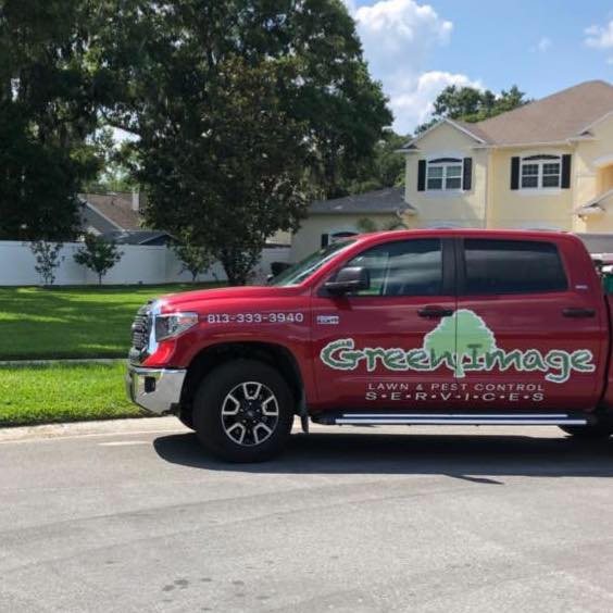 Green Image Lawn and Pest Control Services | Tampa FL