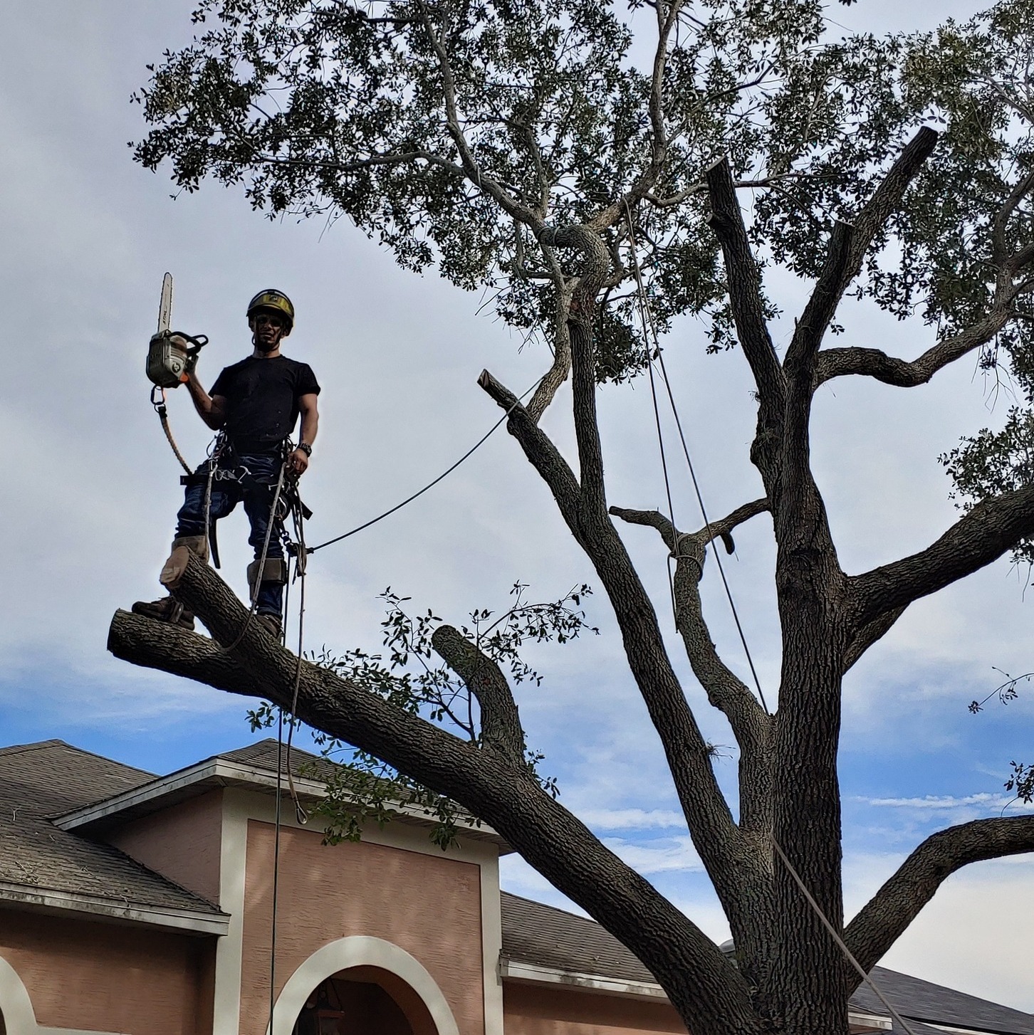 Complete Upkeep LLC Tree Service & Pressure Washing