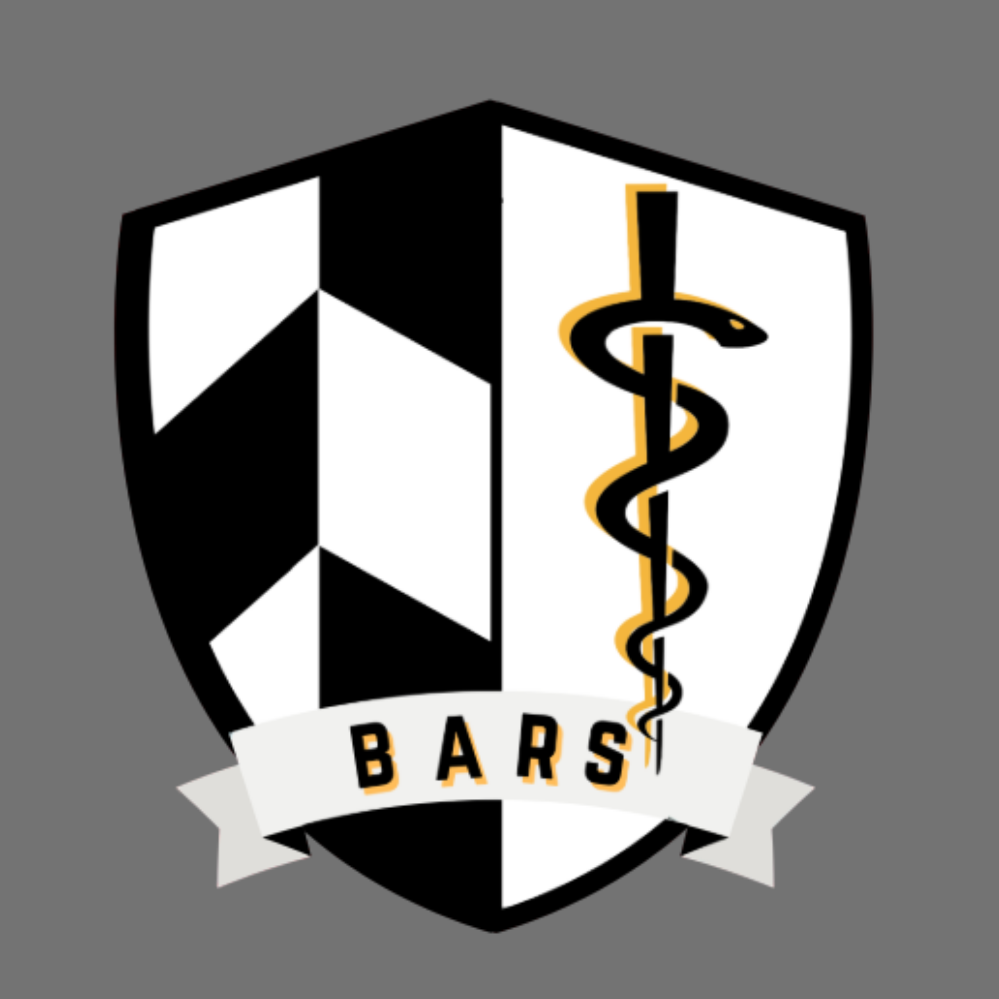 Barts Academic Research Society - BARS