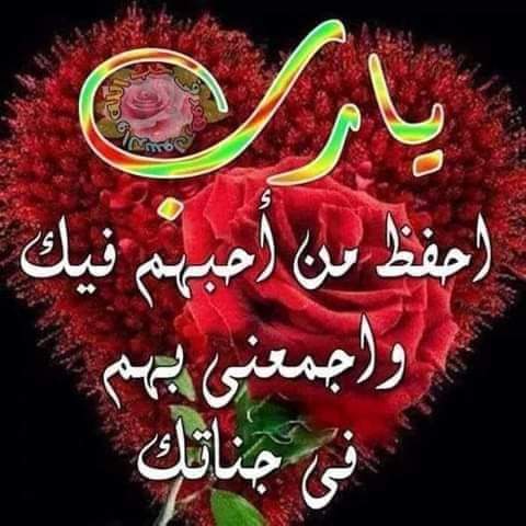 صمت مريب من الحكومة على اخـ ـ ـتطـ ـاف المصريين في الصومال .. إيه السبب ...