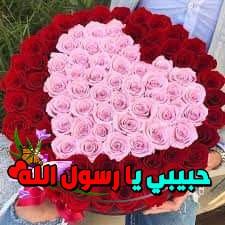 Shimaa Badrat