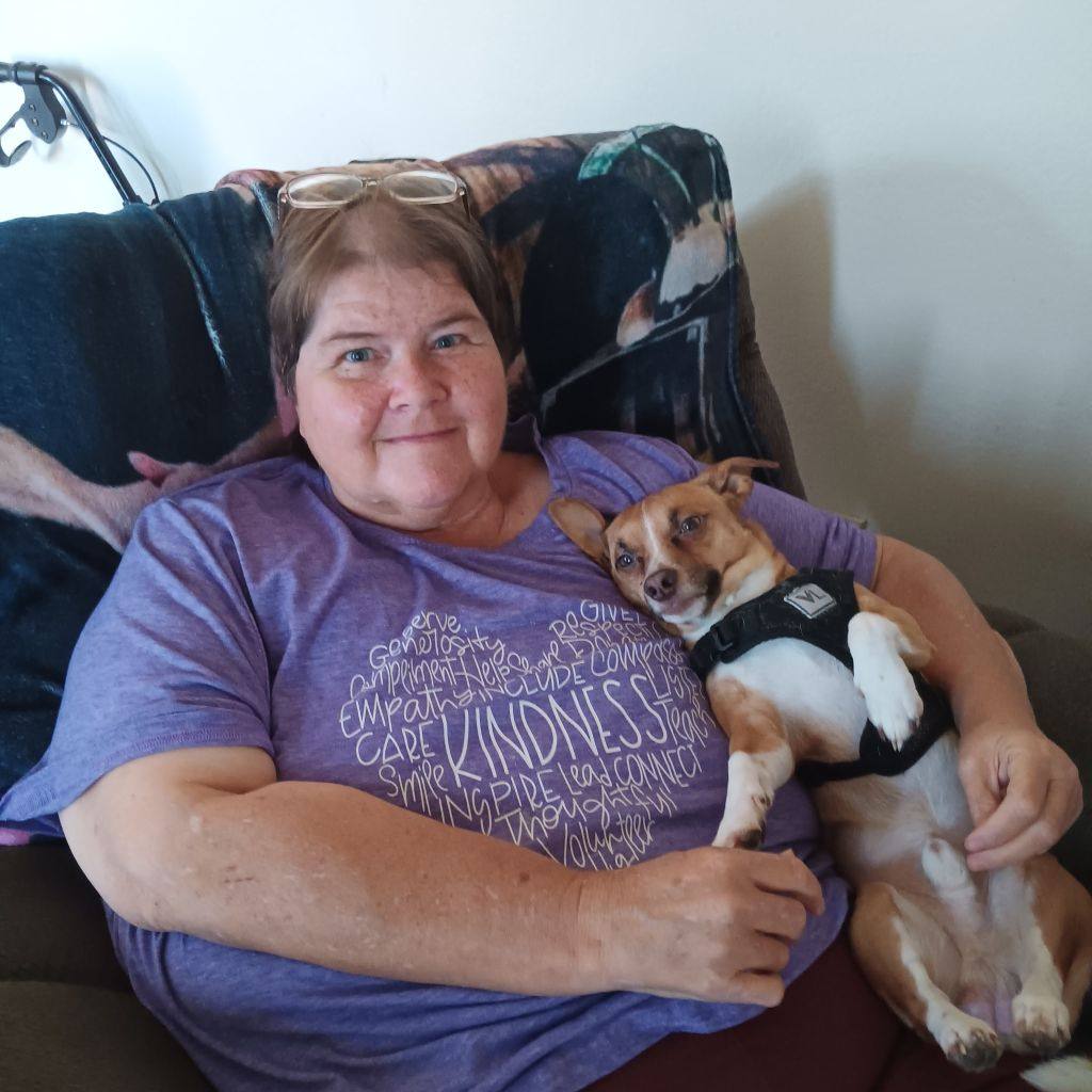 Chihuahua Puppies For Adoption/Rehoming | Facebook