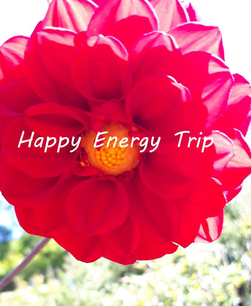 Happy Energy Trip