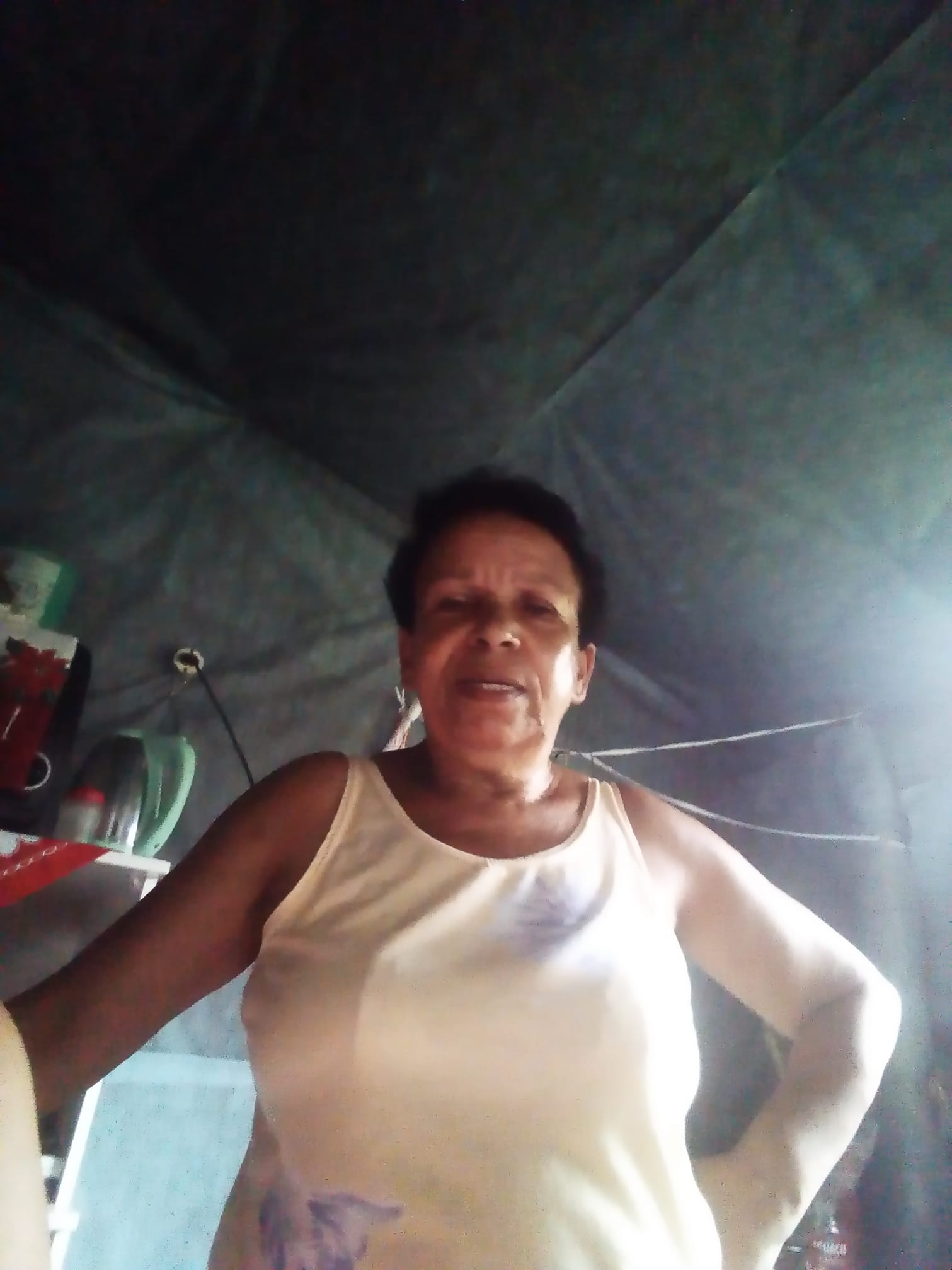 Jardim da Gabi on Reels